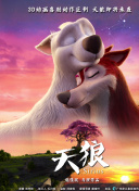 网站SEO技术线课程教你有效管理网站权重分配